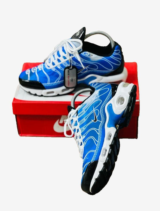 Nike Air Max TN Bleu